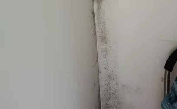 内墙面渗水怎么处理最好?